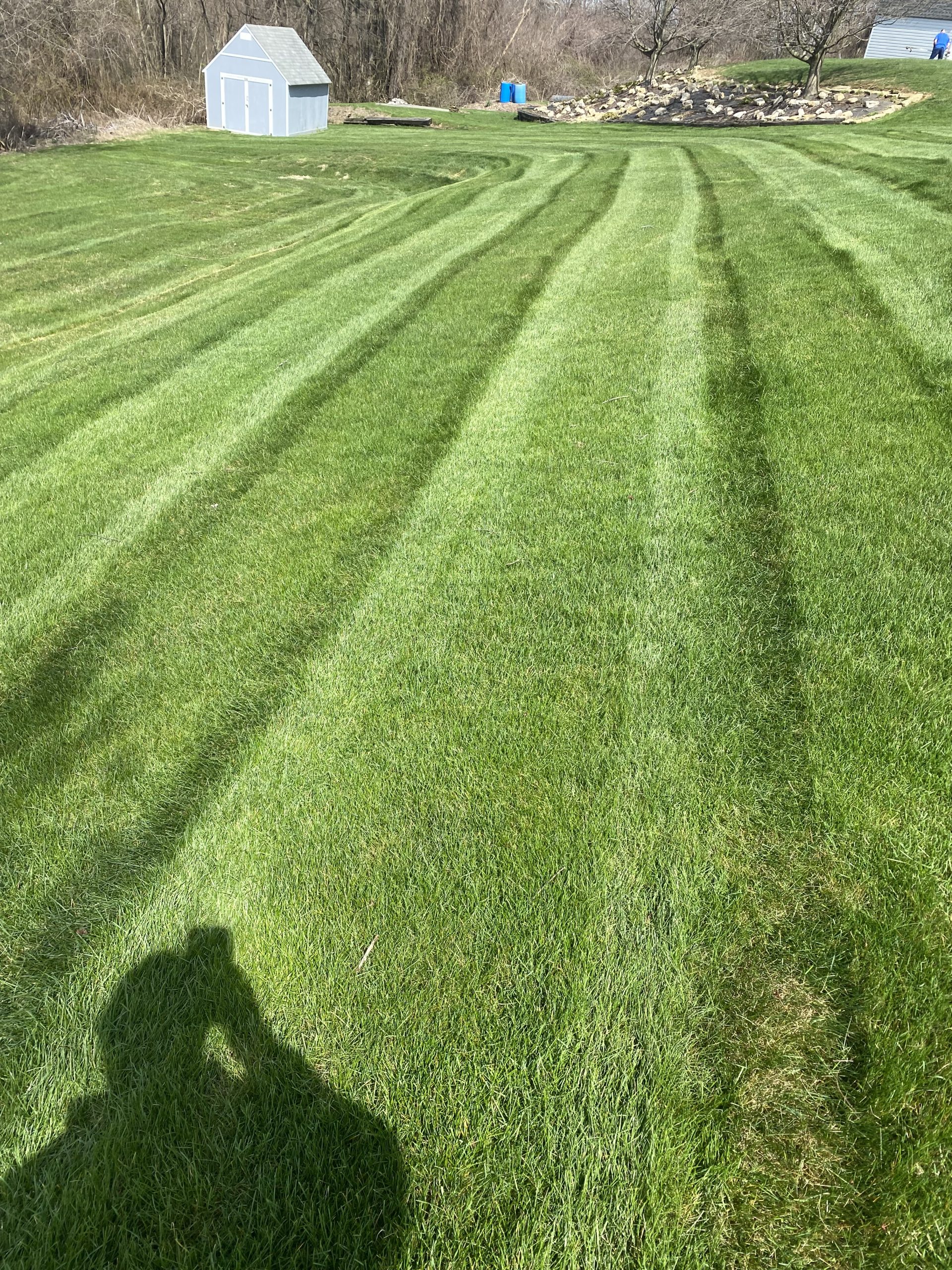Dominiczak Landscaping